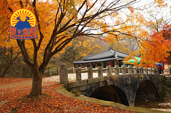 2014年至IN韓國賞楓地點，拍攝紅葉心得及技巧